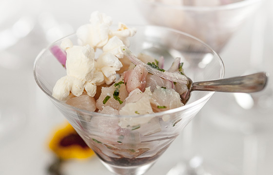 Ceviche de peixe branco